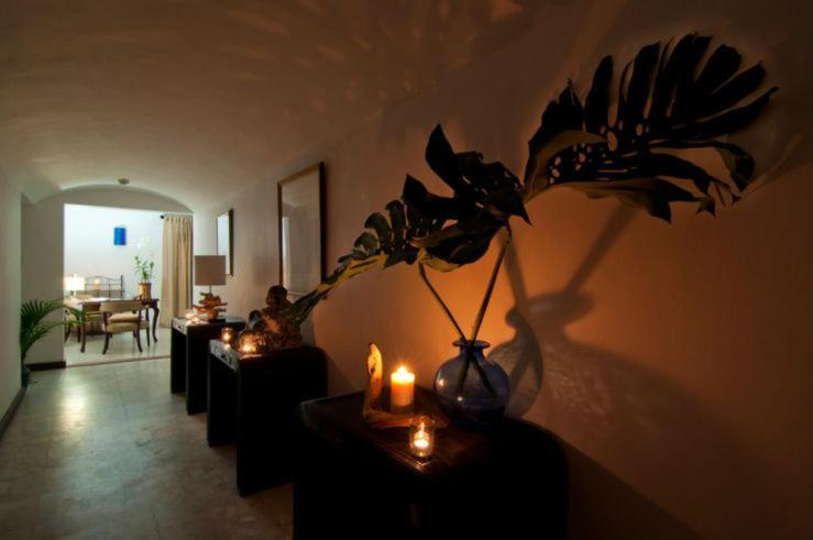 Mynt Retreat Bed & Breakfast Montego Bay Zewnętrze zdjęcie